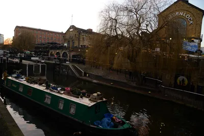 DSC_1427 (Large).JPG